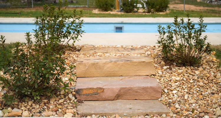 steps to pool with plants and rocks